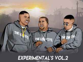 The Lowkeys 012 – Experimentals Vol.2 MP3 Download