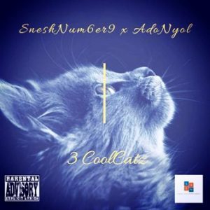 SneshNum6er9 CoolCatz Mp3 Download