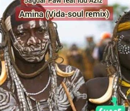 Jaguar Paw ft. Idd Aziz – Amina (Vida Soul Remix) Mp3 Download