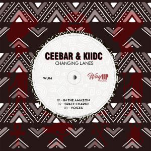 Ceebar & KiidC – Voices Mp3 Download