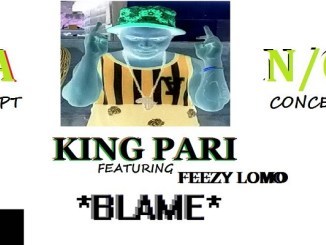 King Pari – Blame (Ft .Feezy Lomo) Mp3 Download