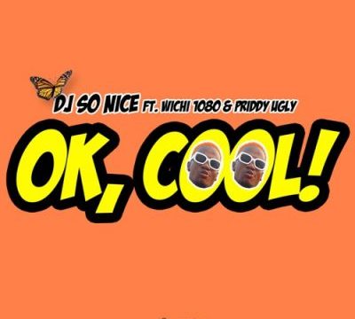 DJ So Nice Ok Cool Mp3 Download
