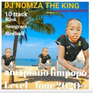 DJ Nomza The King – I’m Feeling Vibe