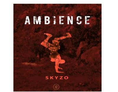 Skyzo – Ambience