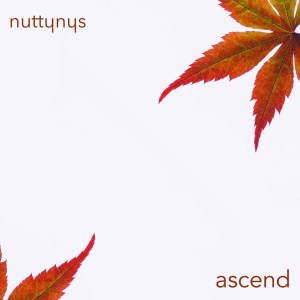 Nutty Nys – Ascend Mp3 download
