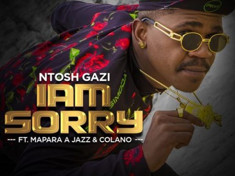 Ntosh Gazi - Iam Sorry Ft. Mapara A Jazz, Calona