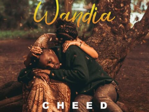 AUDIO Cheed - Wandia MP3 DOWNLOAD