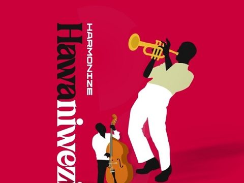 Harmonize Hawaniwezi
